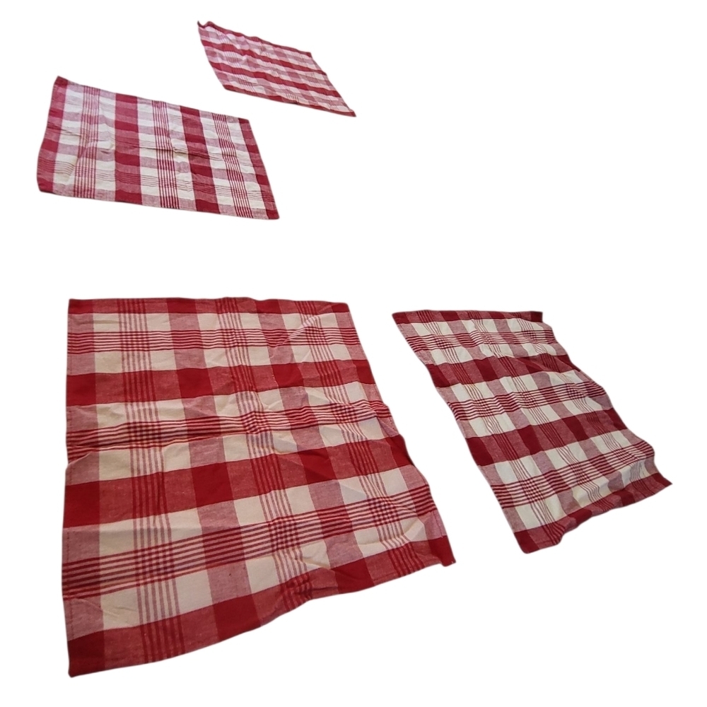 Set of 4 Red & White Plaid Placemats